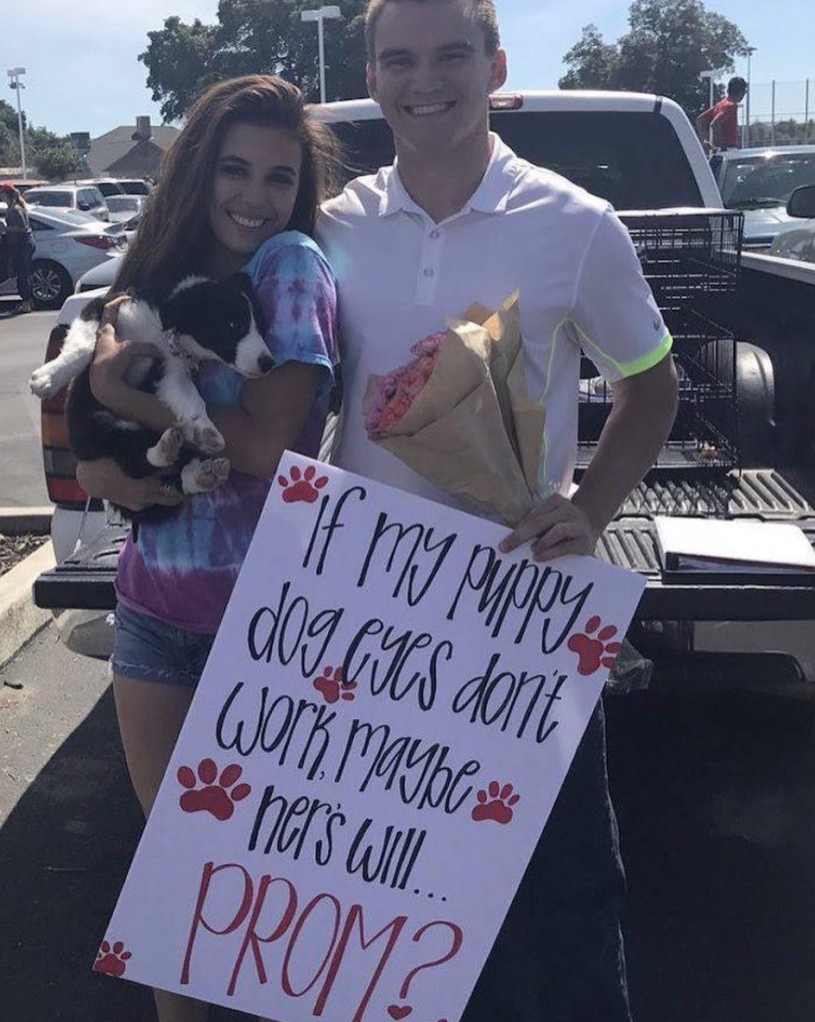 Puppy Proposal